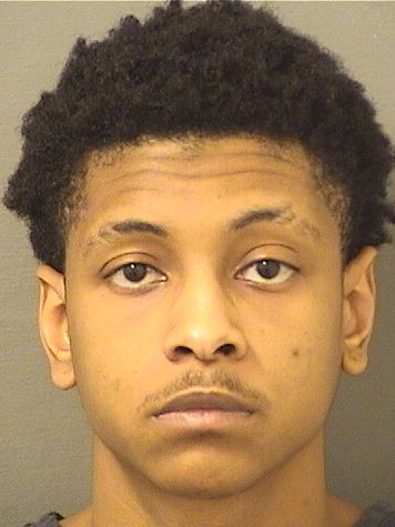  RICKY K PIERRE Results from Palm Beach County Florida for  RICKY K PIERRE