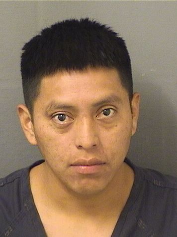  SELVIN USIEL VASQUEZ VICENTE Resultados de la busqueda para Palm Beach County Florida para  SELVIN USIEL VASQUEZ VICENTE