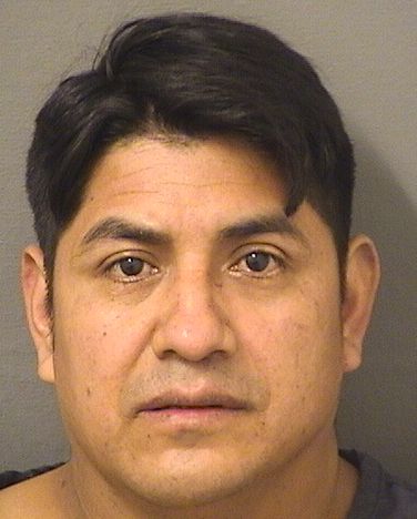  GONZALO GUILLERMO CHAJ LOPEZ Results from Palm Beach County Florida for  GONZALO GUILLERMO CHAJ LOPEZ