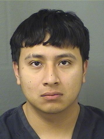  WILFREDO JUAN PASCUAL Results from Palm Beach County Florida for  WILFREDO JUAN PASCUAL