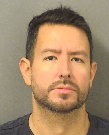  DAVID A SALIT Results from Palm Beach County Florida for  DAVID A SALIT