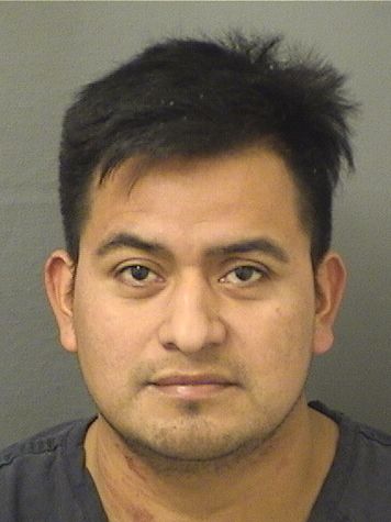  CESAR PEREZ CASTILLO Results from Palm Beach County Florida for  CESAR PEREZ CASTILLO