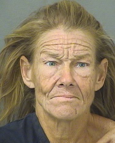  LAURA A DELLAPIETRA Results from Palm Beach County Florida for  LAURA A DELLAPIETRA