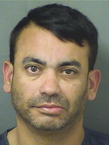  FERNANDO JAVIER VILLALOBO SALDANA Results from Palm Beach County Florida for  FERNANDO JAVIER VILLALOBO SALDANA