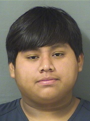  BRIAN GASPARPASCUAL Results from Palm Beach County Florida for  BRIAN GASPARPASCUAL