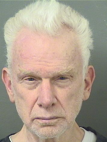  DAVID ANDREW SCIACCHITANO Results from Palm Beach County Florida for  DAVID ANDREW SCIACCHITANO