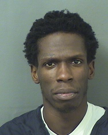  BERNE ALLY MICHAUD Results from Palm Beach County Florida for  BERNE ALLY MICHAUD