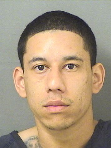  MICHAEL BIENVENIDO POLANCO MUNOX Photo