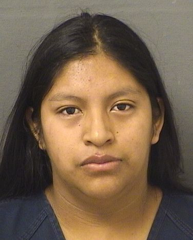  MILVIA ROSE MARY U CRISOSTOMO Results from Palm Beach County Florida for  MILVIA ROSE MARY U CRISOSTOMO