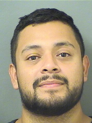  MICHAEL CRISTOPHER NAJERA HERNANDEZ Results from Palm Beach County Florida for  MICHAEL CRISTOPHER NAJERA HERNANDEZ