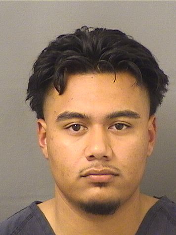  STEVEN ALEXANDER MASIS Results from Palm Beach County Florida for  STEVEN ALEXANDER MASIS