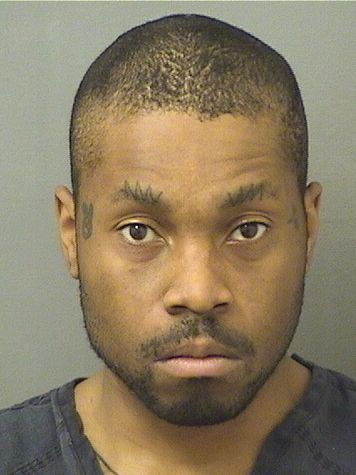  NATURE CHRIS HANNIBAL BOBO Photo