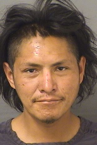  PERRY CHRISTOPHER SHERMAN Results from Palm Beach County Florida for  PERRY CHRISTOPHER SHERMAN