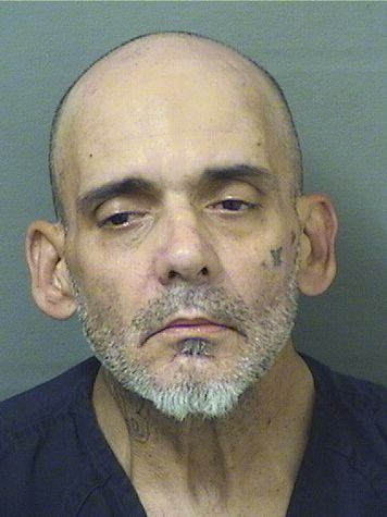  ADRIAN M BERNAL Results from Palm Beach County Florida for  ADRIAN M BERNAL