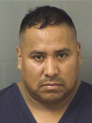  LISANDRO EVERILDO LOPEZ GONZALEZ Resultados de la busqueda para Palm Beach County Florida para  LISANDRO EVERILDO LOPEZ GONZALEZ