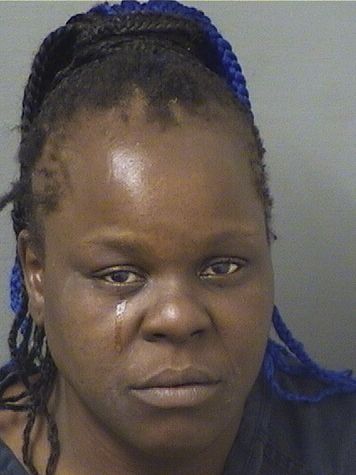  SOPHIA YOLANDA DORESTE Results from Palm Beach County Florida for  SOPHIA YOLANDA DORESTE