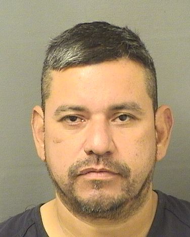  SERGIO NEFTALI AVILES CANALES Resultados de la busqueda para Palm Beach County Florida para  SERGIO NEFTALI AVILES CANALES