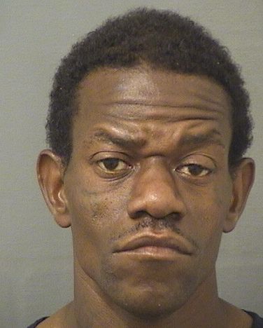  NICHOLAS TYRELL BROWNLEE Resultados de la busqueda para Palm Beach County Florida para  NICHOLAS TYRELL BROWNLEE