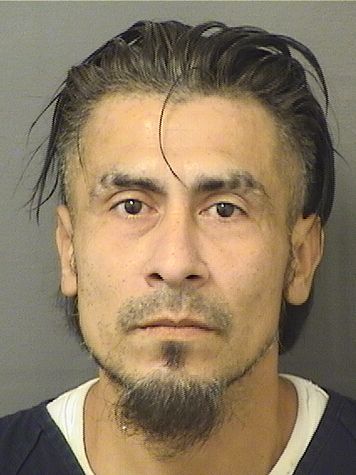  JUAN LAZARO Resultados de la busqueda para Palm Beach County Florida para  JUAN LAZARO