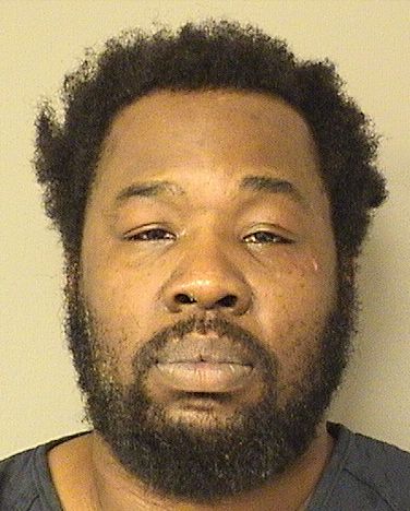  TREMAYNE TREVOR BRICE Results from Palm Beach County Florida for  TREMAYNE TREVOR BRICE