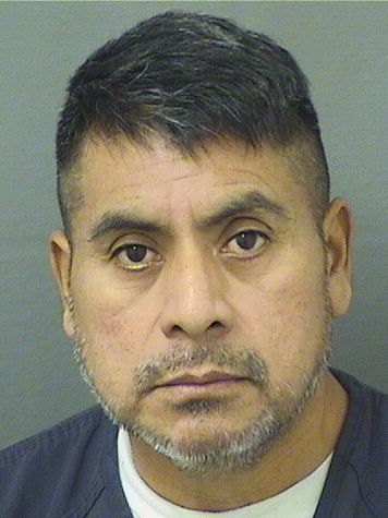  AVIDEAL ORTIZ GONZALEZ Resultados de la busqueda para Palm Beach County Florida para  AVIDEAL ORTIZ GONZALEZ