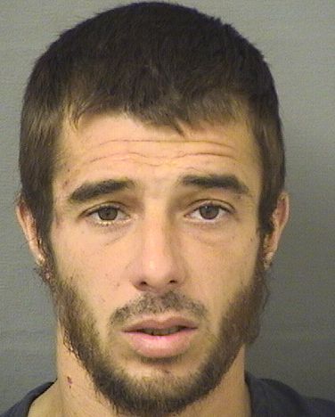  VINCENT MICHAEL CAPONE Results from Palm Beach County Florida for  VINCENT MICHAEL CAPONE