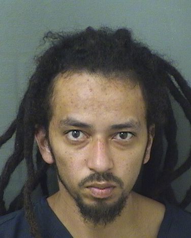  CHRISTIAN DANIEL REYES Resultados de la busqueda para Palm Beach County Florida para  CHRISTIAN DANIEL REYES