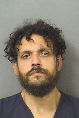  RICARDO NAVAMUEL Results from Palm Beach County Florida for  RICARDO NAVAMUEL