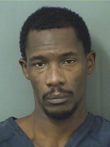  CHRISTOPHER J LEWIS Results from Palm Beach County Florida for  CHRISTOPHER J LEWIS