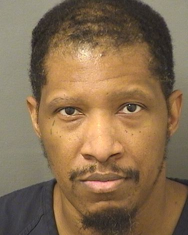  MICHAEL K WRIGHT Resultados de la busqueda para Palm Beach County Florida para  MICHAEL K WRIGHT