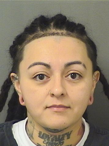  STEPHANIE SUSAN SILVA Results from Palm Beach County Florida for  STEPHANIE SUSAN SILVA