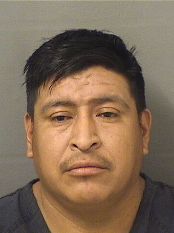  PEDRO ANDRESRAYMUNDO Results from Palm Beach County Florida for  PEDRO ANDRESRAYMUNDO