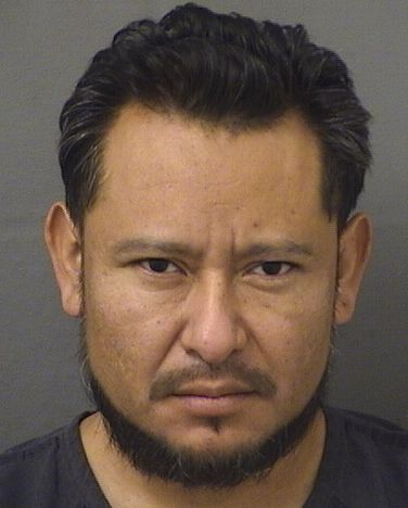  DENIS OSBELI CARRILLOLORENZO Resultados de la busqueda para Palm Beach County Florida para  DENIS OSBELI CARRILLOLORENZO