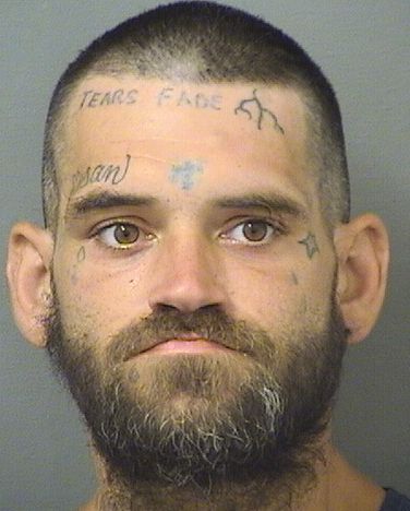  BRANDON M BOROZNY Results from Palm Beach County Florida for  BRANDON M BOROZNY