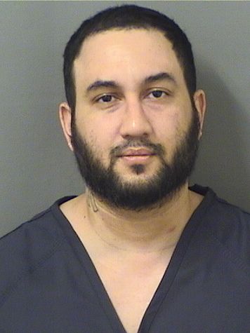  NELSON JR Jr CARDONA Resultados de la busqueda para Palm Beach County Florida para  NELSON JR Jr CARDONA