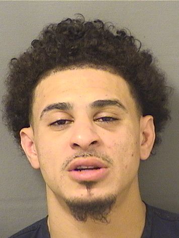  WILLIAM MCKINLEY III SHEPARD Resultados de la busqueda para Palm Beach County Florida para  WILLIAM MCKINLEY III SHEPARD