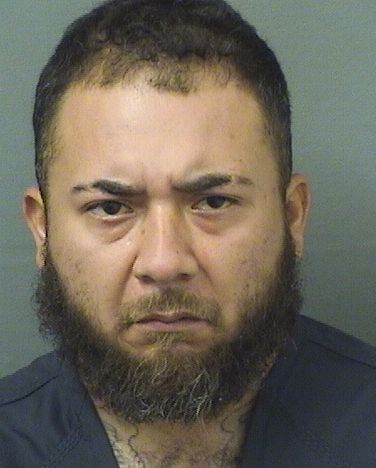  IVAN FLORES Results from Palm Beach County Florida for  IVAN FLORES