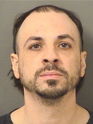  TYLER MICHAEL ROLCHIGO Results from Palm Beach County Florida for  TYLER MICHAEL ROLCHIGO