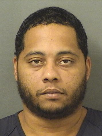  DAVID E ALICEA Results from Palm Beach County Florida for  DAVID E ALICEA