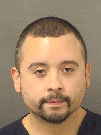  LENNYS JOEL VALENTINRIVERA Results from Palm Beach County Florida for  LENNYS JOEL VALENTINRIVERA