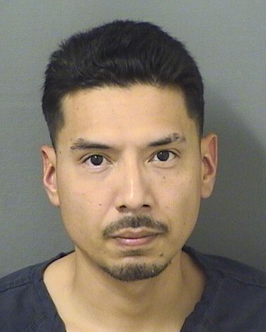  LUIS HERNANDEZCHOW Resultados de la busqueda para Palm Beach County Florida para  LUIS HERNANDEZCHOW