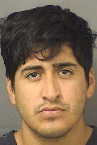  GABRIEL MARTINEZ Results from Palm Beach County Florida for  GABRIEL MARTINEZ