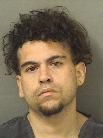  ANTHONY FRANCIS SIEBER Resultados de la busqueda para Palm Beach County Florida para  ANTHONY FRANCIS SIEBER