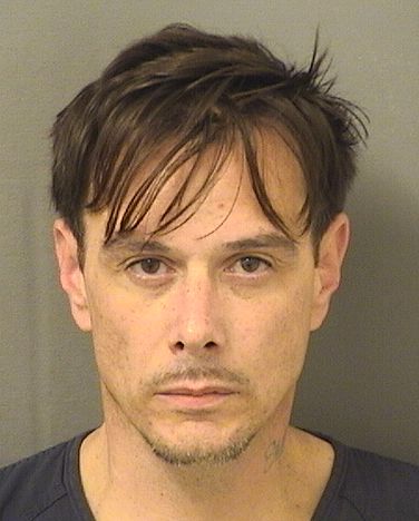  JOHN MARIO DIGIOVANNI Results from Palm Beach County Florida for  JOHN MARIO DIGIOVANNI