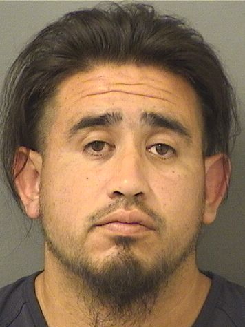  ARIEL VALLEJOVINDAS Resultados de la busqueda para Palm Beach County Florida para  ARIEL VALLEJOVINDAS