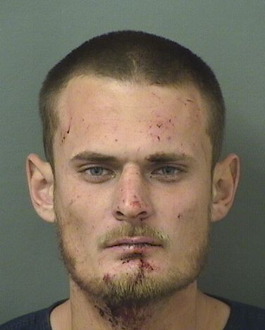  ZACHARY BRIAN SISSELBERGER Results from Palm Beach County Florida for  ZACHARY BRIAN SISSELBERGER