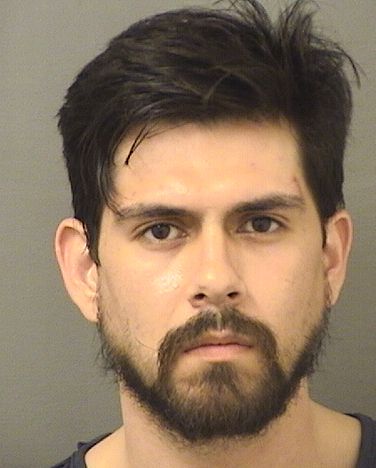  DANIEL AJEJANDRO TORRES Results from Palm Beach County Florida for  DANIEL AJEJANDRO TORRES