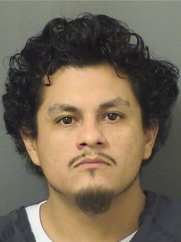  IVAN MOTA GODINEZ Results from Palm Beach County Florida for  IVAN MOTA GODINEZ