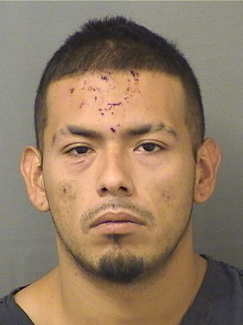  SANTOS GUERRERO Results from Palm Beach County Florida for  SANTOS GUERRERO