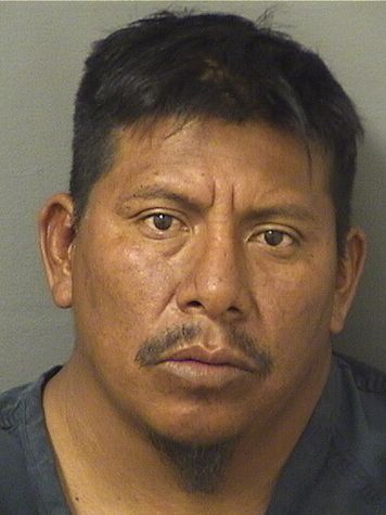  MAURICIO ODELMI GARCIALOPEZ Resultados de la busqueda para Palm Beach County Florida para  MAURICIO ODELMI GARCIALOPEZ